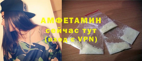 гидра Надым