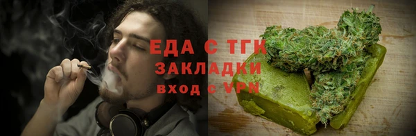 гидра Надым
