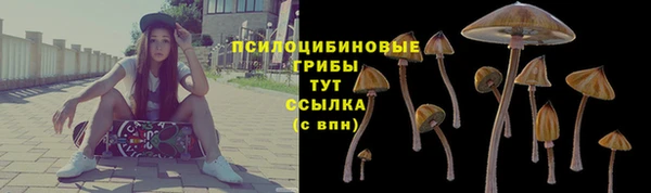 гидра Надым