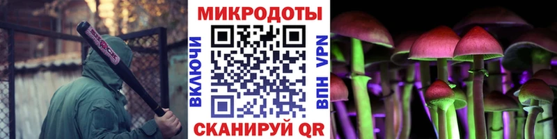 цена наркотик  Чита  Галлюциногенные грибы прущие грибы 