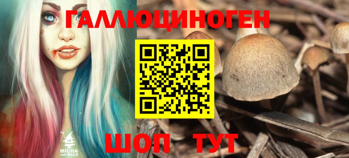 Псилоцибиновые грибы MAGIC MUSHROOMS Чита