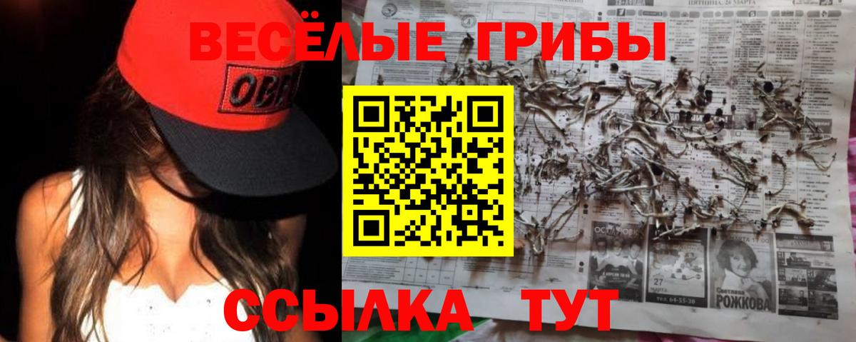 Чита  Псилоцибиновые грибы мухоморы  Вход с VPN 